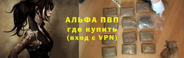 прущие грибы Навашино