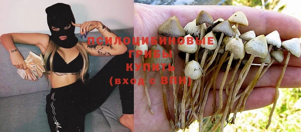 прущие грибы Навашино