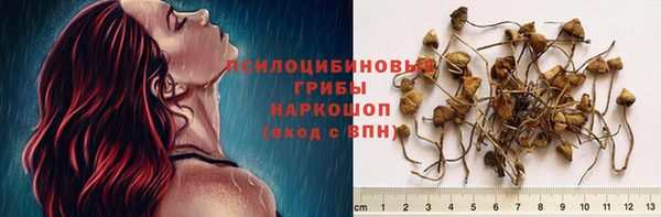шишки Нефтекумск
