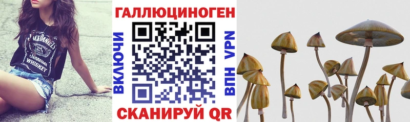 магазин наркотиков Менделеевск Галлюциногенные грибы прущие грибы